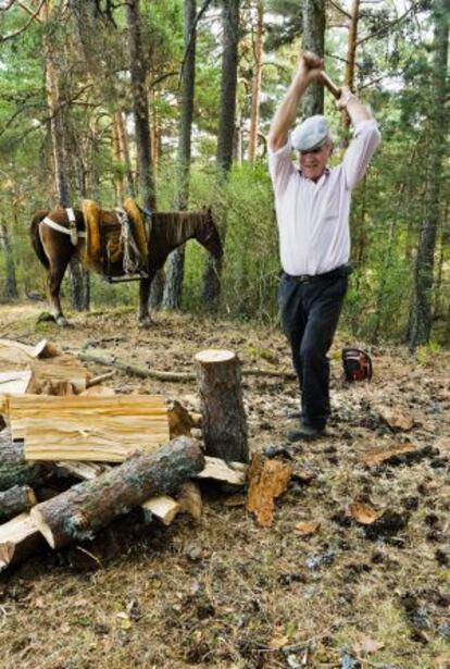 El gabarrero es aquel que corta leña, la saca a caballo del pinar y la vende después. Hipólito Herranz (66 años) lo ha hecho, como su padre y como tantos hombres de la zona de Valsaín, El Espinar y San Rafael (en Segovia, a 67 kilómetros de Madrid), toda su vida, combinándolo en su caso con el trabajo de albañil. Hoy, jubilado, lo sigue haciendo, para consumo propio y para vender a los vecinos.