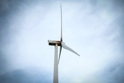 A pesar de que los parques eólicos se venden como energías “verdes”, algunas de las afectaciones que denuncian las personas que habitan Unión Hidalgo es la contaminación de sus tierras por el aceite que escurre por las aspas de los aerogeneradores. Hasta la fecha, el rancho de la familia se encuentra rodeado de aerogeneradores, pero no invadido. En lugar de torres metálicas, Ná Lupita tiene sembradíos de sorgo, maíz y frijol, sigue viendo como crecen los árboles frutales que las gallinas ayudan a abonar y sus animales cuentan con un amplio espacio para pastorear.