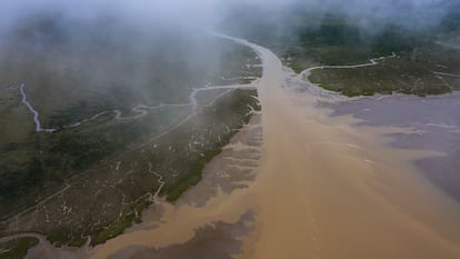 Un pequeño arroyo de marea fluye a través de una llanura, de tres millas de ancho, de brotación de limo fresco con retoños, en Amapá, Brasil, el viernes 22 de abril de 2022.