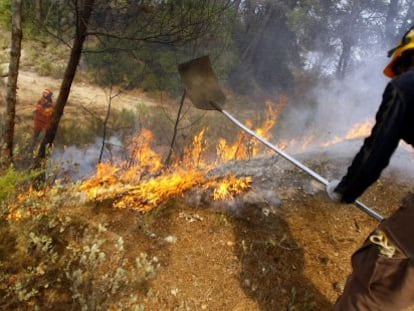 Un brigadista apaga las llamas en el incendio de La Torrre de les Ma&ccedil;anes el pasado domingo 12 de agosto