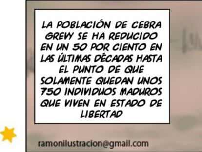 Ramón