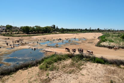 Un grupo de habitantes de Tsihombe y aledaños en Madagascar, se reúnen alrededor de agujeros cavados para acceder al agua. Cientos de miles de vidas están en peligro en este país africano, el único lugar del mundo en este momento donde las "condiciones de hambruna" están provocadas solo por el clima y no por los conflictos.