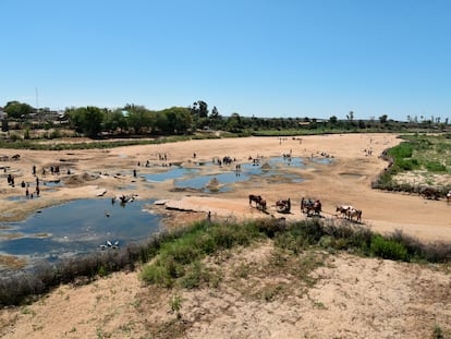 Un grupo de habitantes de Tsihombe y aledaños en Madagascar, se reúnen alrededor de agujeros cavados para acceder al agua. Cientos de miles de vidas están en peligro en este país africano, el único lugar del mundo en este momento donde las "condiciones de hambruna" están provocadas solo por el clima y no por los conflictos.