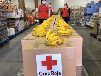 Varios trabajadores de Cruz Roja con plátanos de Canarias.