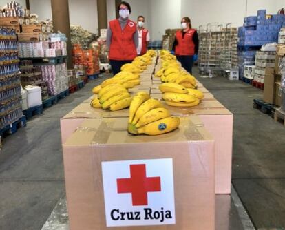 Varios trabajadores de Cruz Roja con plátanos de Canarias.