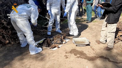Parte de los restos hallados por la Guardia Civil en el domicilio del hombre acusado de matar a su hermana, en Olesa de Montserrat.