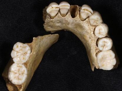 La mandíbula fósil de un adolescente neandertal hallada en Valdegoba (Burgos).