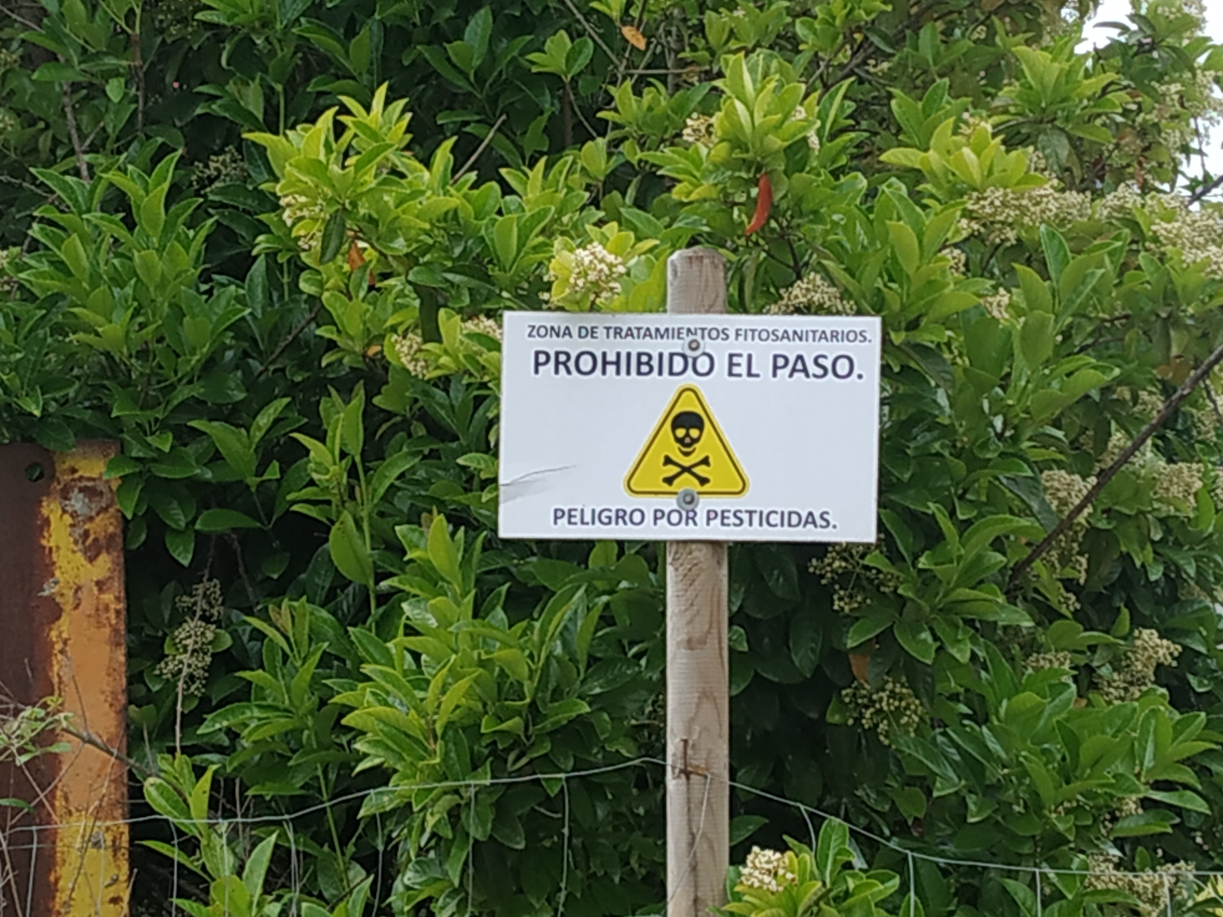 Cartel de advertencia por pesticidas en Carregal, Tomiño (Pontevedra).