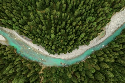 Al ritmo actual de consumo, necesitaríamos 1,7 planetas Tierra para satisfacer la demanda global de recursos, lo que hace indispensable reciclar los envases de belleza.