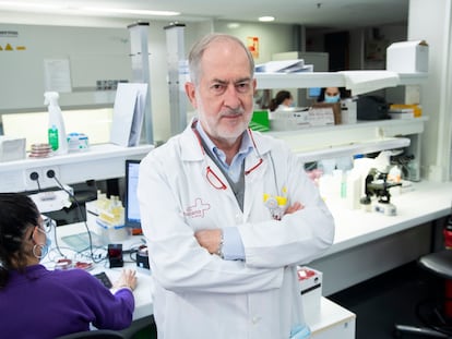 Manuel Segovia, jefe del servicio de medicina tropical del Hospital La Arrixaca de la capital Murciana.