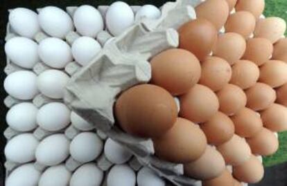 Una tienda vende huevos en un mercado de Hanover, Alemania, el 26 de febrero del 2013.