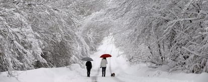 Dos jovenes pasean con su perro por una carretera cercana a la localidad de Roncesvalles en Navarra. 