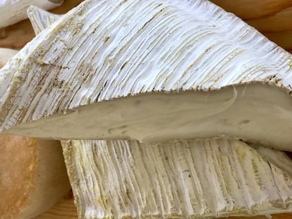 Queso Briqueta. Leche pasteurizada de cabra, pasta blanda y corteza enmohecida blanca con 90 días de maduración. Lácteas Argudo Campillo, (Málaga )