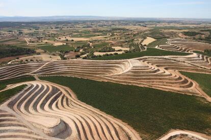 Vista aérea de uno de los viñedos del grupo.