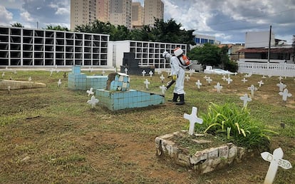 Cemiterio coronavirus