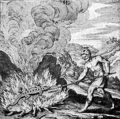 Salamander in an engraving from a 16th century history of alchemy.