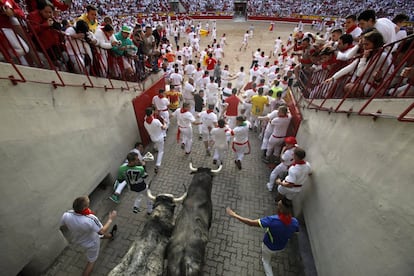 Los toros de Cebada Gago llegan a la plaza de toros de Pamplona abriéndose camino entre los corredores.