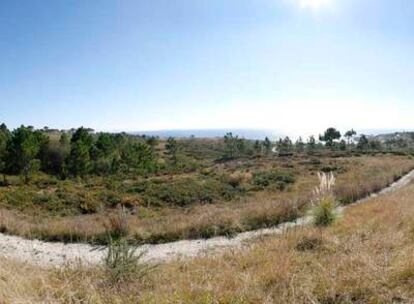 Vista de los terrenos de Punta Couso en los que estaba prevista la construcción de la depuradora de aguas residuales Ribeira.