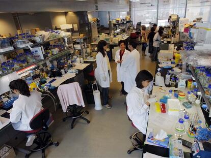 Laboratorio del Centro Nacional de Investigaciones Cardiovasculares, en Madrid.