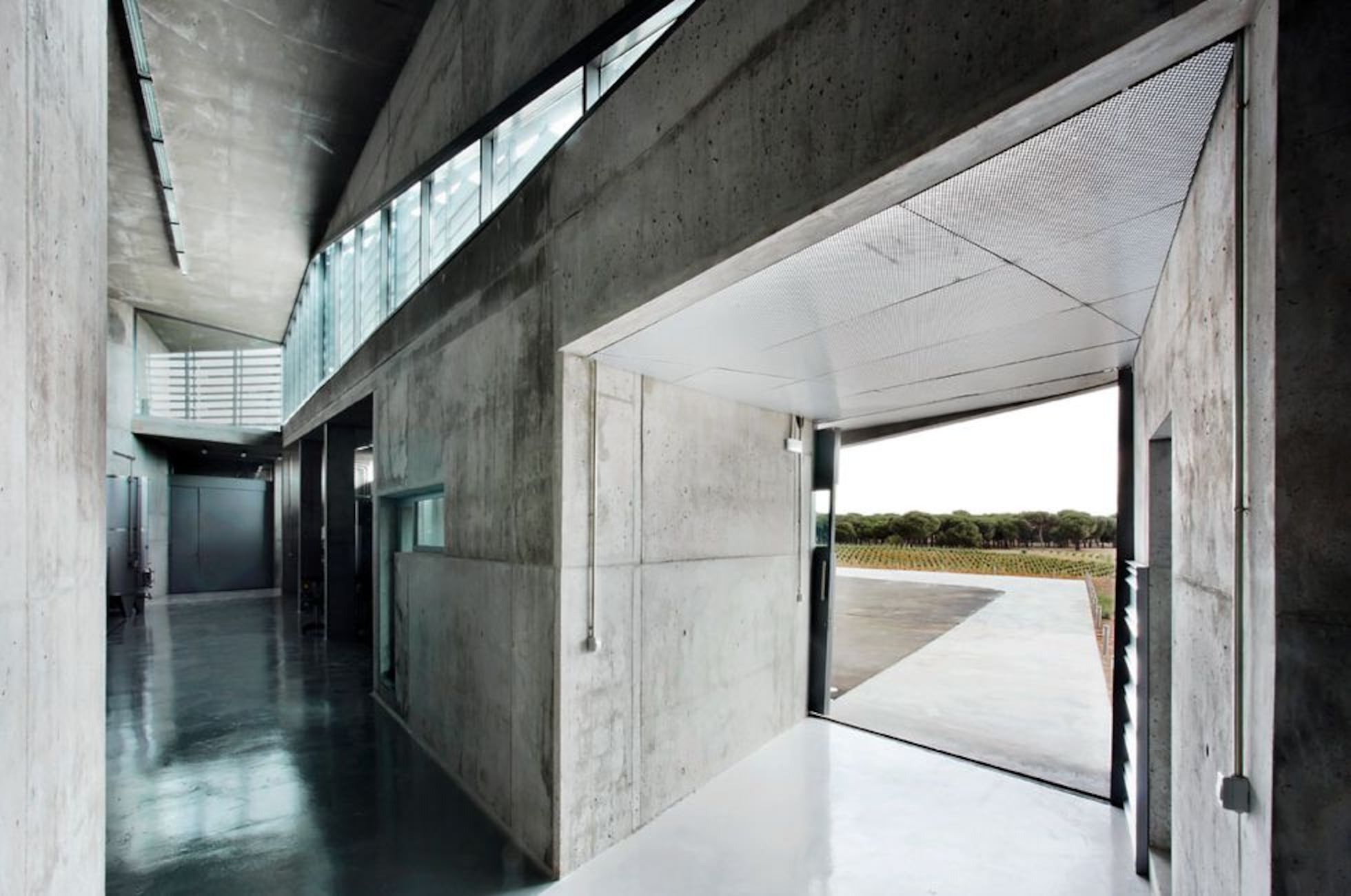 16 bodegas emocionantes en España | Fotos | El Viajero | EL PAÍS
