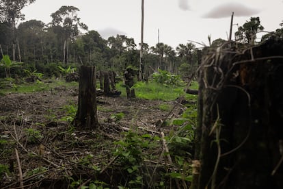 Deforestación en el Amazonas, Colombia, en 2023.