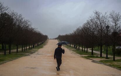 Bosque metropolitano