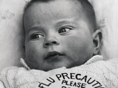 Plagas de moda, por Javier Calvo