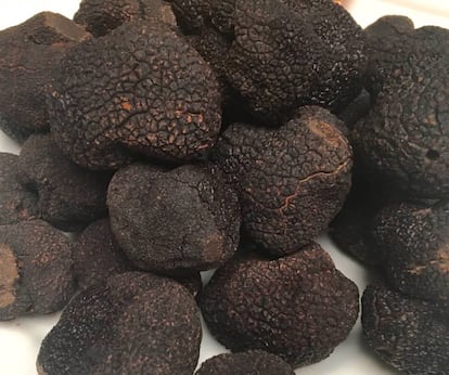 TRUFAS NEGRAS