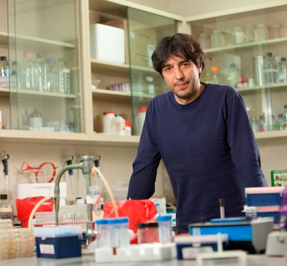 Valter Longo en su laboratorio de la Universidad del Sur de California.