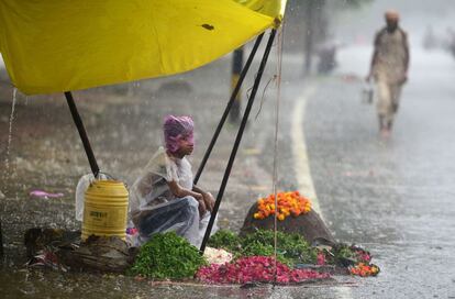 Un niño se cubre de la lluvia con una bolsa de plástico en un puesto de flores en Allahabad, India.