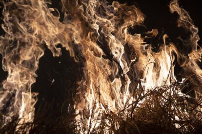 “Es cierto que el bosque amazónico sufre incendios regularmente, pero de ninguna manera esto significa que sea normal. La Amazonia no evolucionó con incendios frecuentes. Los fuegos recurrentes no son un elemento natural en la dinámica de la selva tropical, como sí lo son en otros entornos, como El Cerrado [una región de sabana ubicada principalmente en Brasil]”, advierte la bióloga brasileña Manoela Machado. En la imagen, uno de los incedios del municipio brasileño de Nova Santa Helena debora un granja, el 23 de agosto.