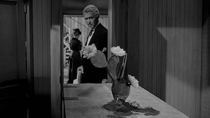 James Stewart y Vera Miles en 'El hombre que mató a Liberty Valance'