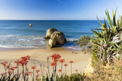 Praia da Rocha, en Portimao, en el Algarve.