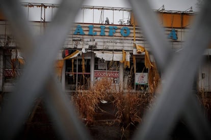 O mato cresce sobre o que parecia ser uma livraria e uma locadora de vídeo em Fukushima.