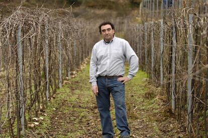 El cosechero Antonio Cajide en su finca de Santo André de Camporredondo.