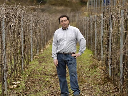 El cosechero Antonio Cajide en su finca de Santo André de Camporredondo.