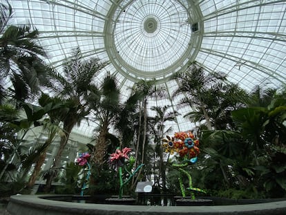 La exposición irá cambiando con las distintas estaciones del año. Estará rodeada de tulipanes o lirios en primavera, de dalias o girasoles en verano y de calabazas en otoño.