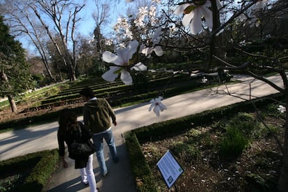 El personaje de la novela Gregorio León se cita siempre en el Jardín Botánico de Madrid con un agente de la CIA, que está buscando nazis en la capital madrileña.