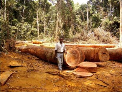 Explotación de madera certificada en Camerún.