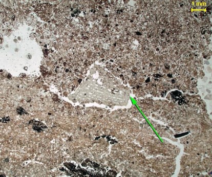 Micrografía de un fragmento de hueso calcinado en la cueva de Wonderwerk (Sudáfica).