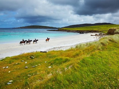 Cuatro jinetes cabalgan por la playa de Selerna, en la localidad irlandesa de Cleggan, en verano.