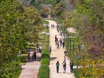 Jardín del Turia, donde sucedió la agresión homófoba del pasado jueves.