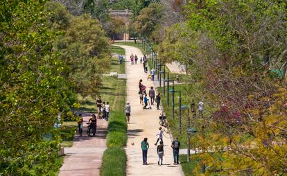 Jardín del Turia, donde sucedió la agresión homófoba del pasado jueves.