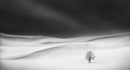 Fotografia da série ganhadora do terceiro prêmio no International Landscape Photographer of the year. Parque Nacional de Yellowstone, Estados Unidos.