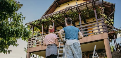 Vivienda con plantas en la terraza.