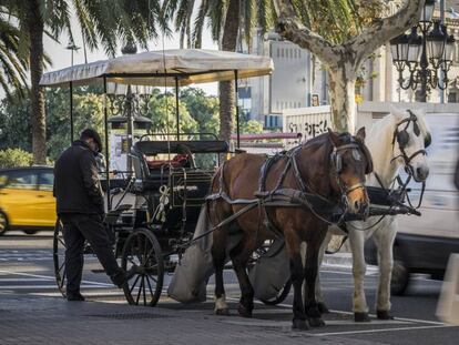 Uno de los carruajes al final de la Rambla de Barcelona