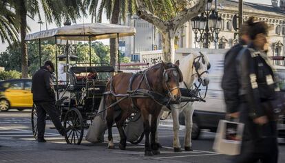 Uno de los carruajes al final de la Rambla de Barcelona