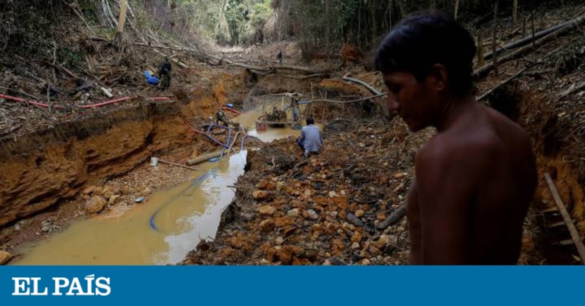 Covid-19: La doble amenaza para los pueblos de la Amazonia | Planeta ...