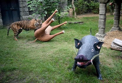 Un tigre de Sumatra juega con una recreación de un antílote que contiene comida con motivo del Día Internacional del tigre, en un zoo de Bali (Indonesia).