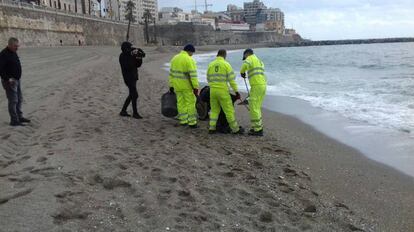 Trabajadores retiran medusas peligrosas de la playa de Ceuta el pasado 15 de abril.